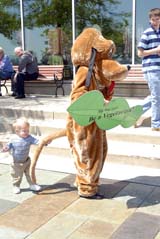 Toddler Aidan Luhmann chases the tail of a furry friend at Navy Pier